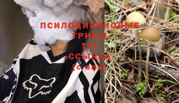 МДПВ Абаза