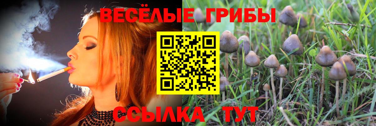 Гагарин  Галлюциногенные грибы мицелий  Вход с VPN  Галлюциногенные грибы прущие грибы 